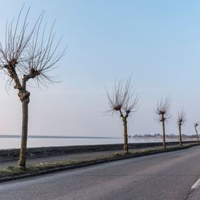 Langelinie ved Stegebugt