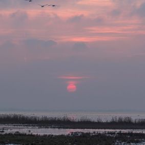 Solnedgang over Stegebugt