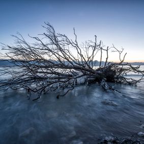 Vinter ved Møns Klint