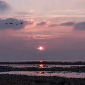 Solnedgang over Stegebugt